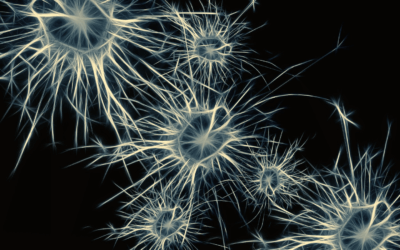 Redes NEURONALES PARA NUEVAS GENERACIONES DE IOT